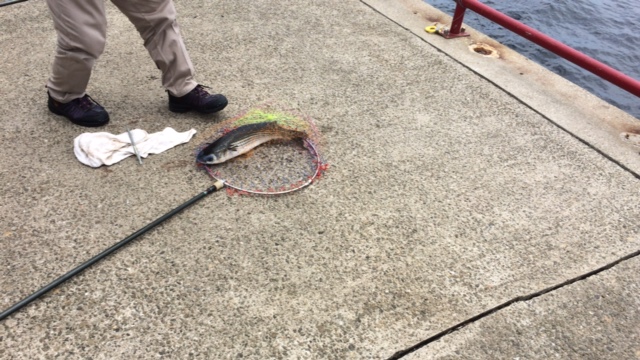 久しぶりに・・・