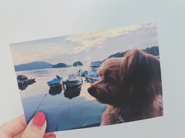 可愛い暑中見舞い☆