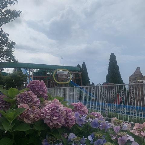 8月になりました☆