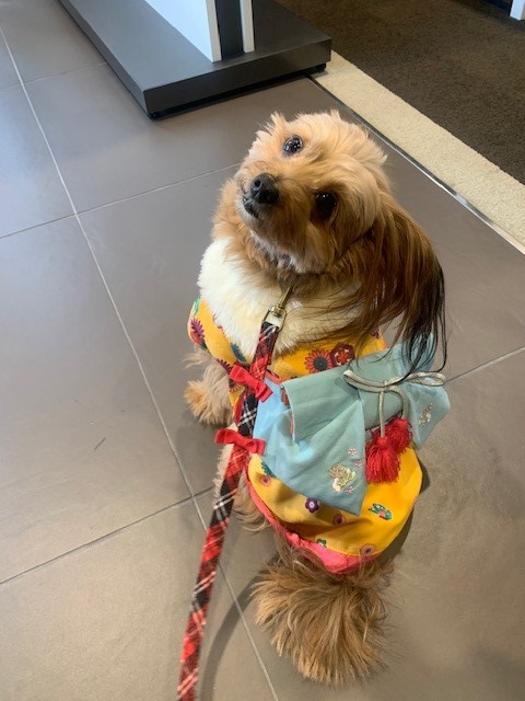 毎年のお楽しみ