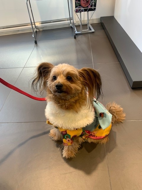 毎年のお楽しみ