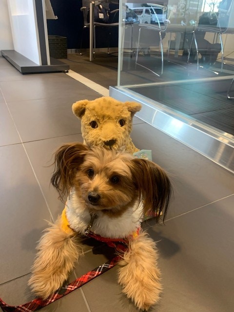 毎年のお楽しみ