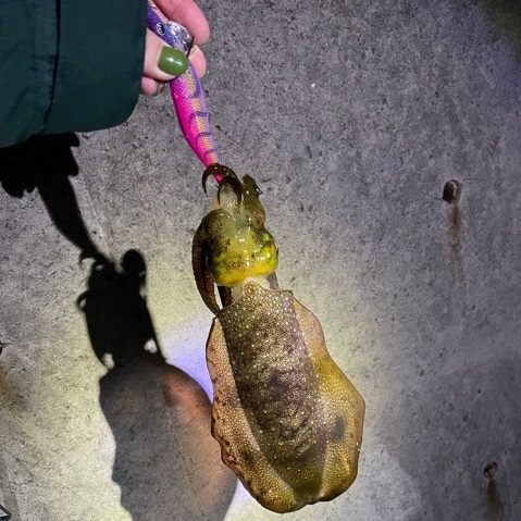 釣り・・・( *´艸｀)