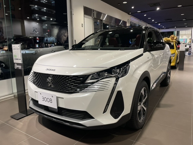 特別仕様車展示中☆