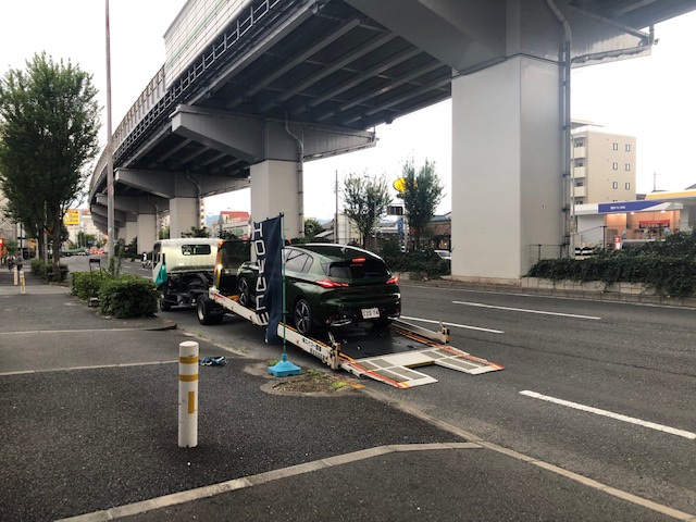 NEW308到着しました！