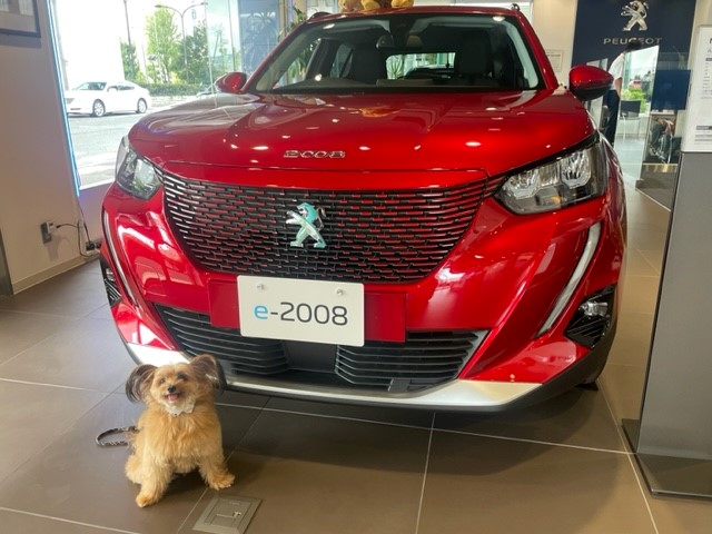 今回の展示車紹介は・・・