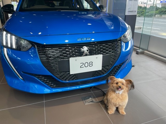 今回の展示車紹介は・・・