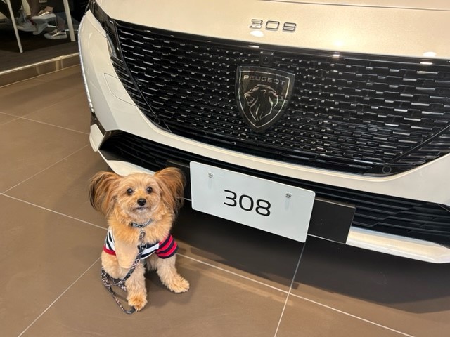 ありがとうございます🐶