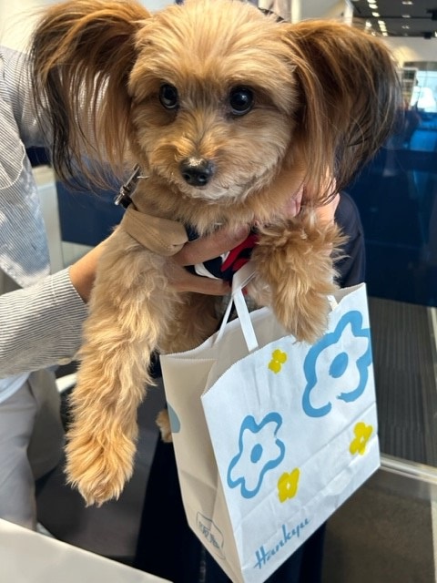 ありがとうございます🐶