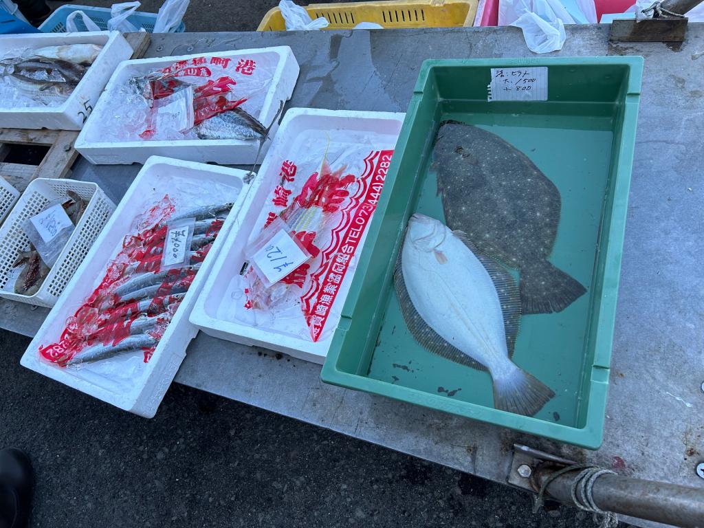 まだまだ寒いですね