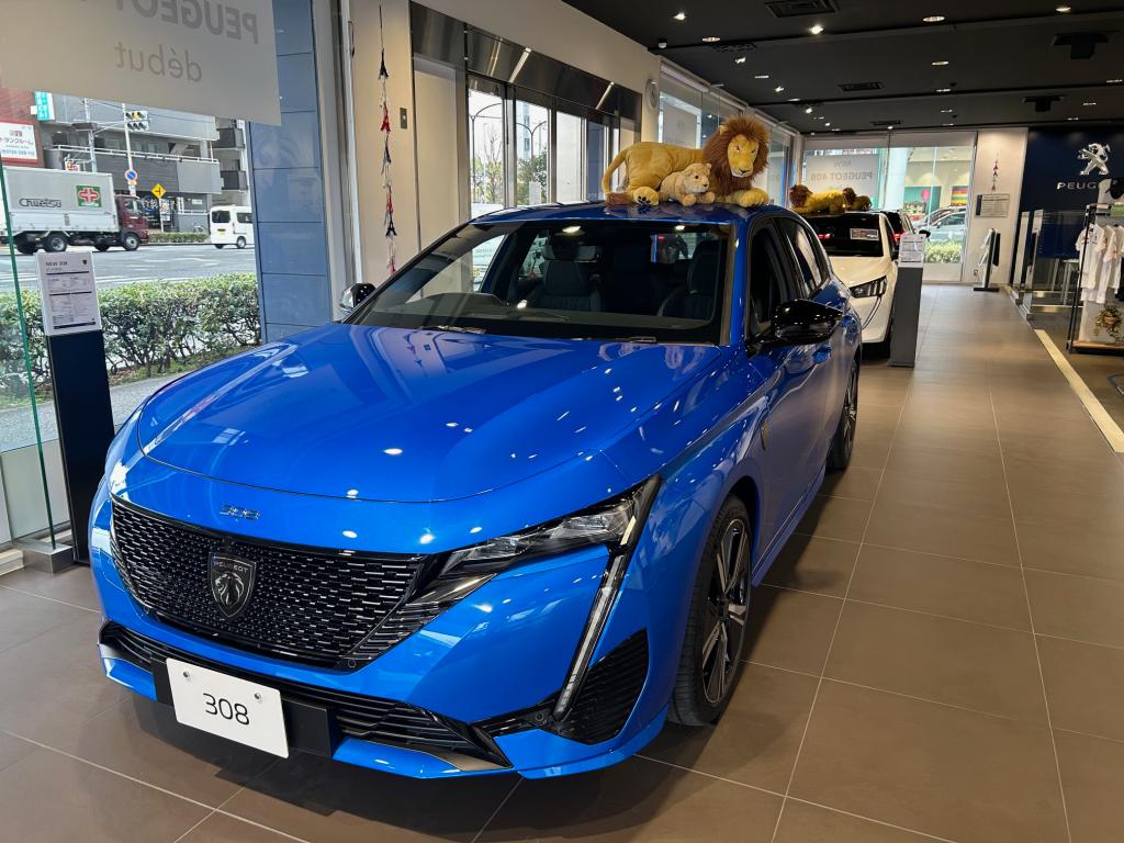 明日３/20（水・祝）は営業いたします