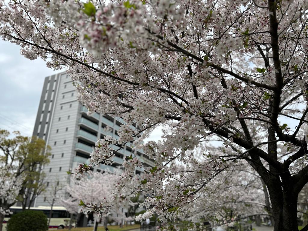 本日、明日は定休日です