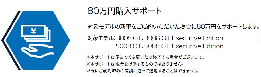 3008 / 5008 購入サポート実施中！