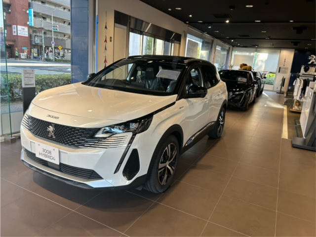 最大100万円‼️e-208 / e-2008 / 3008購入サポート実施中