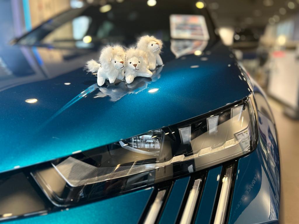 NEW3008デビューフェア開催中‼️
