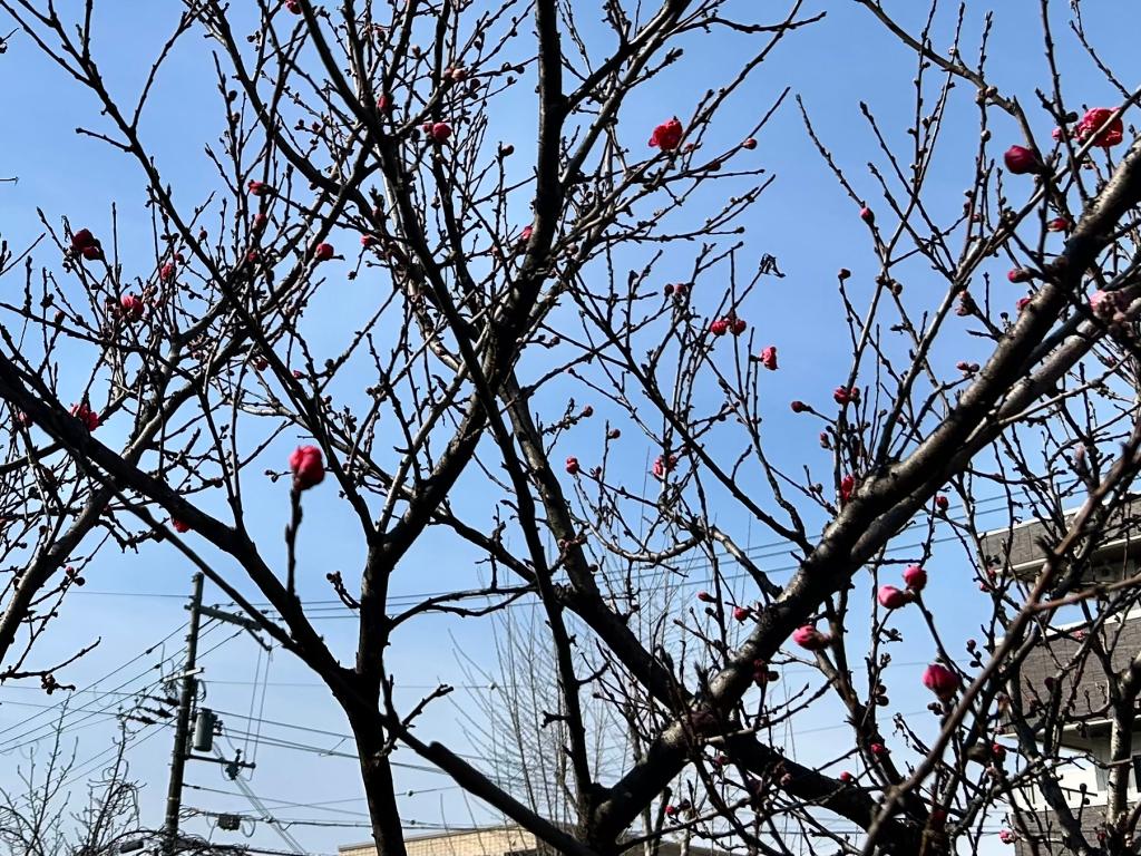 もうすぐですね