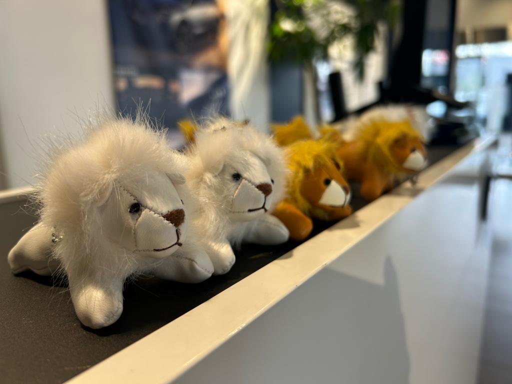 定休日のお知らせ