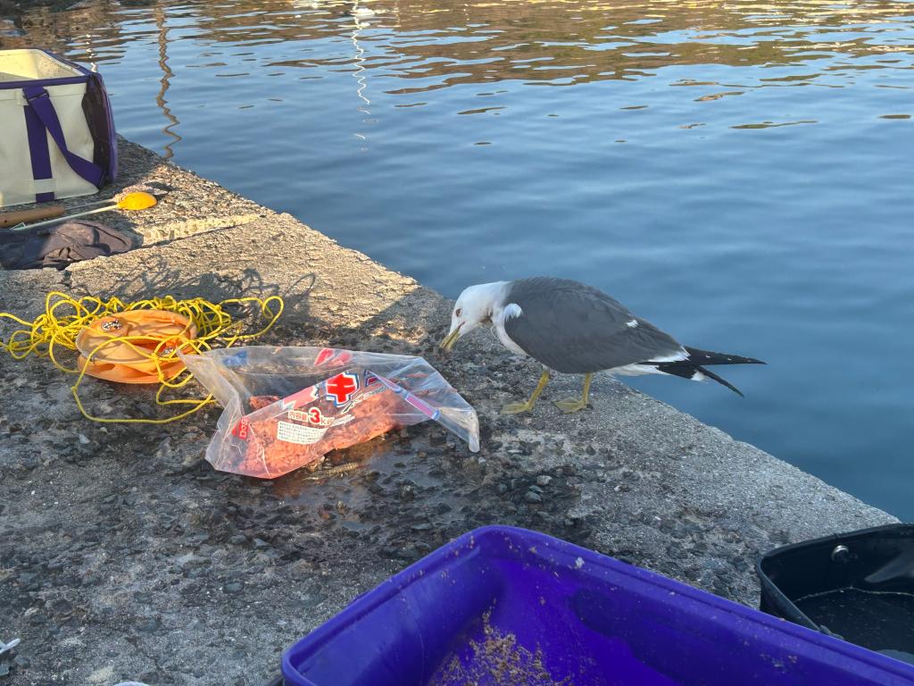 久しぶりに・・