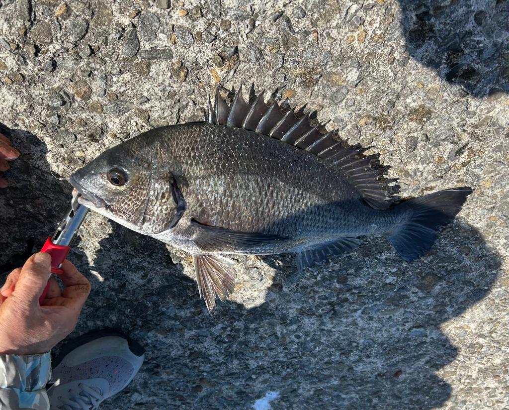 久しぶりに・・