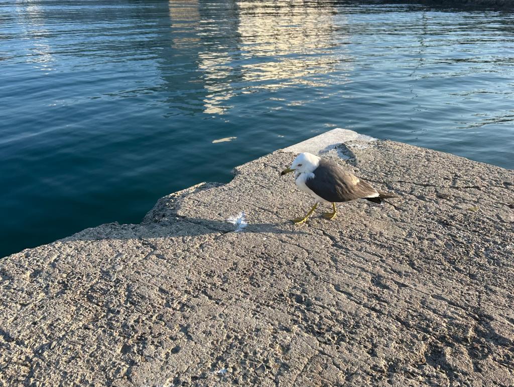 久しぶりに・・