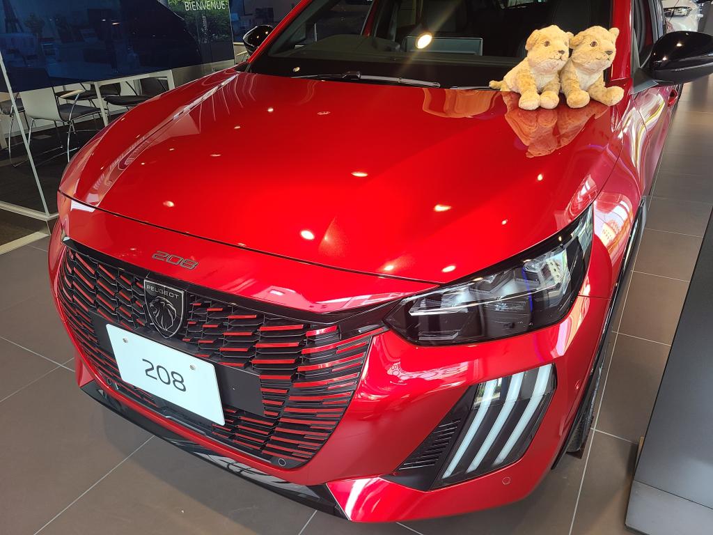 展示車両入れ替えました🚗